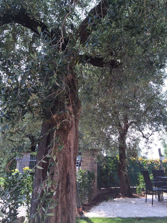 Casa Alla Rocca Arco Εξωτερικό φωτογραφία